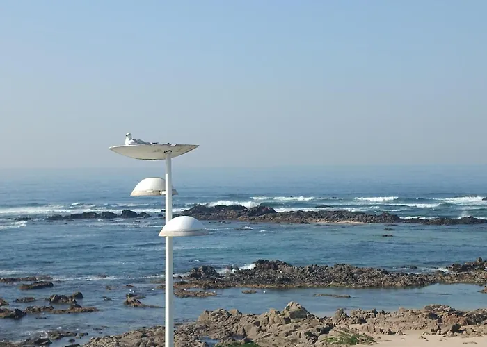 旅馆 Cachinnans & 孔迪镇