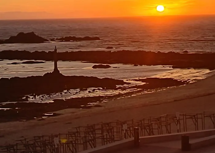 Cachinnans & 孔迪镇