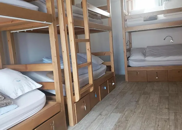 Cachinnans & * 孔迪镇