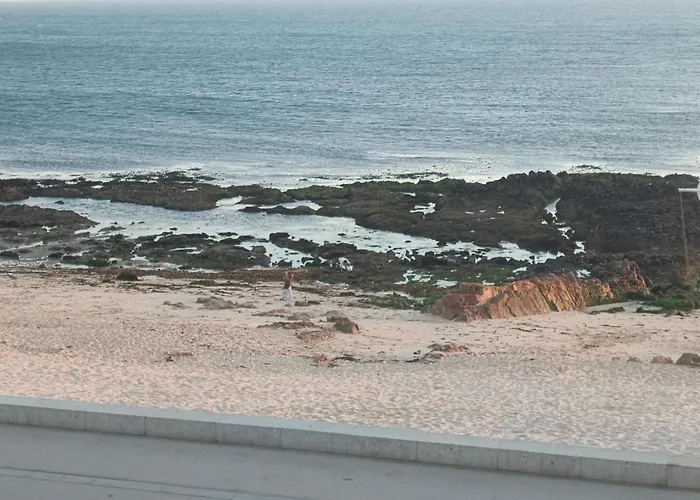 Cachinnans & 호스텔 *